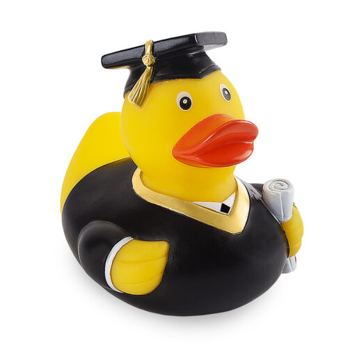 ברווז פרינסטון