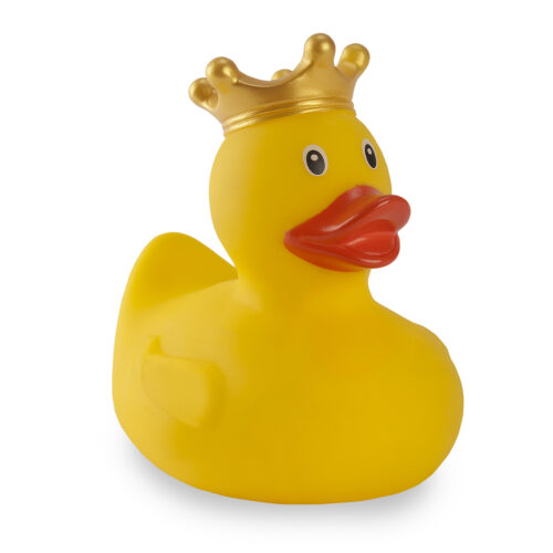 "ברווז "אלכסנדר הגדול