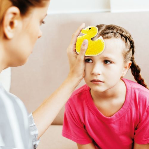 כרית קרחום - דייזי